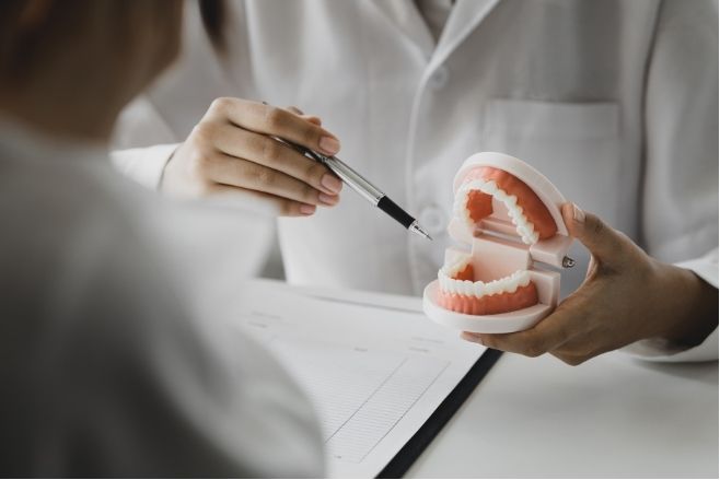 a dentist is holding a model of teeth and pointing at it .