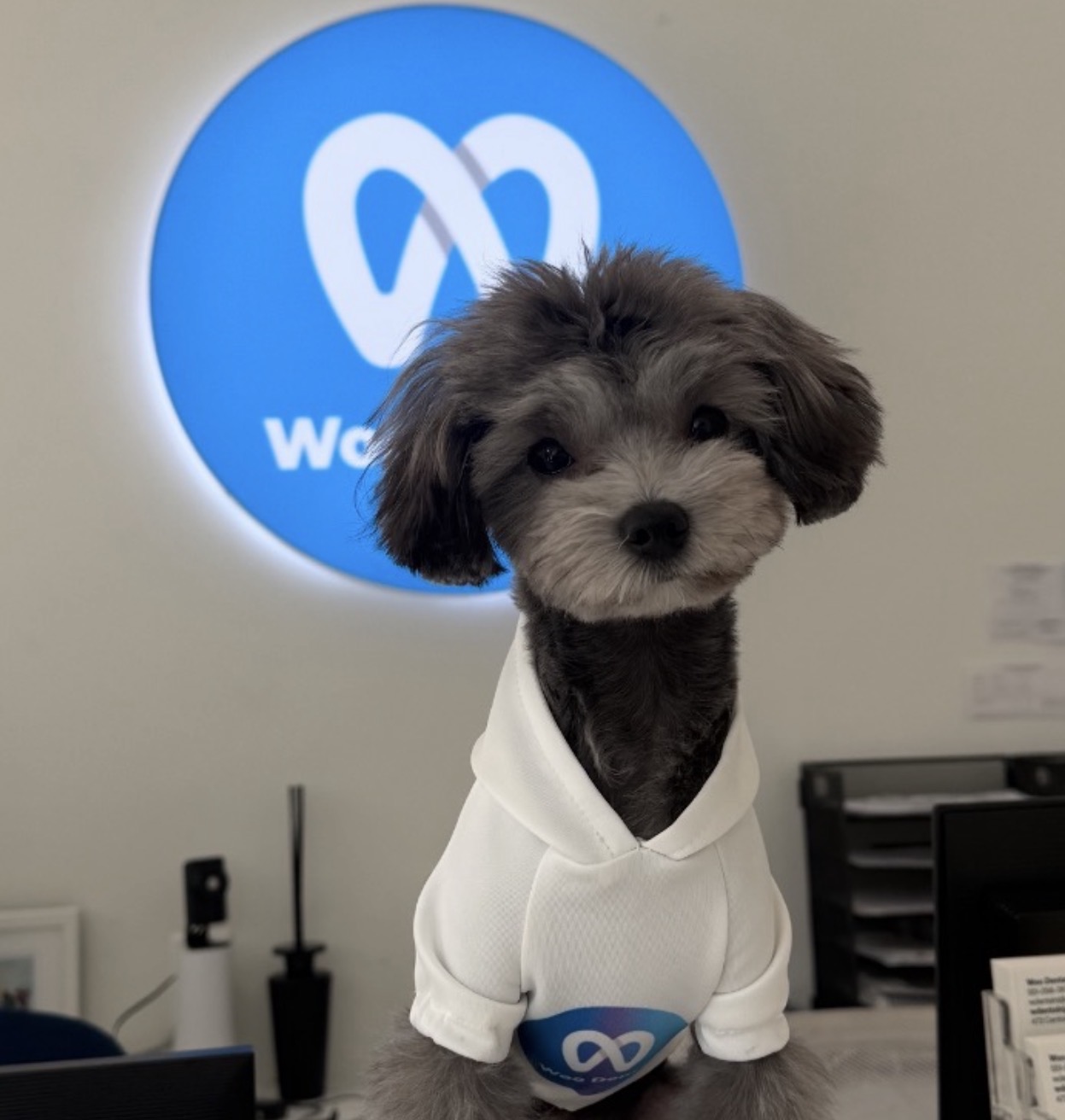 Huchu, Woo Dental Anxiety Relief Specialist